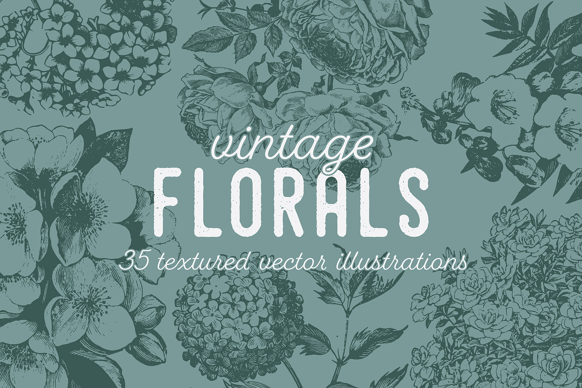 VINTAGE FLORALS | 35 Vectors, an Illustration by Britt & Kit (Photo 1 of 2)