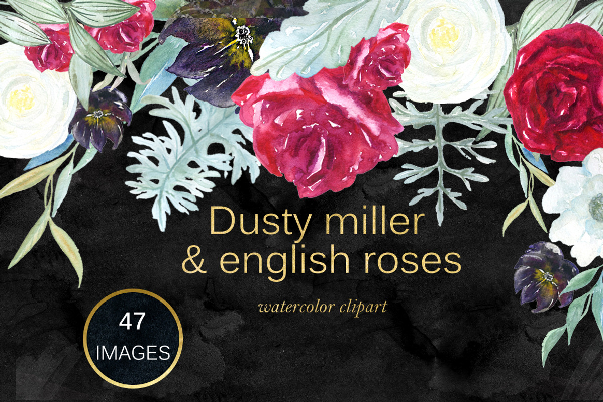 Dusty miller & english roses, an Illustration by LABFcreations (Photo 2 of 8)