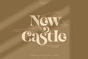 Break Love | Classy Retro Font, a Sans Serif Font by Pentagonistudio (Thumbnail 2 of 10)