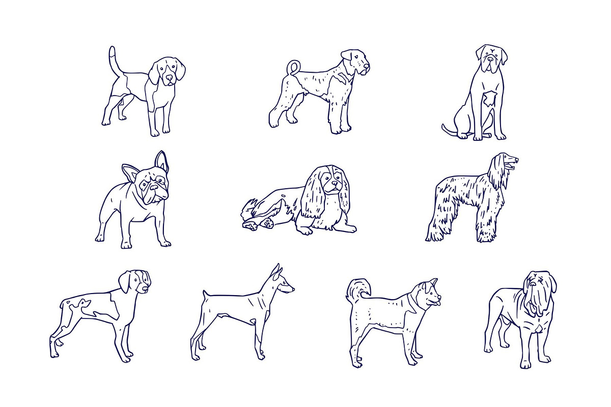 Dog Breeds Hand Drawn Illustration, an Animal Illustration by SLAB! Design (Photo 3 of 3)