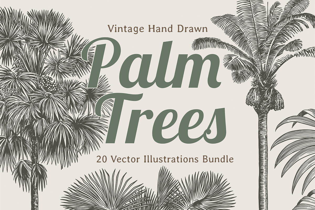 Palm Tree Vector Illustration Bundle, an Illustration by Kusumaillustration (Photo 1 of 15)