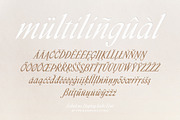 Fabulous Display Italic Font, a Serif Font by Type and Graphics Studio (Thumbnail 17 of 18)
