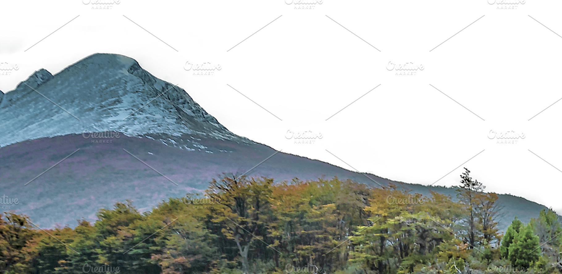 Forest and mountains patagonia isolated landscape photo, a Nature Photo by DanFLCreativo