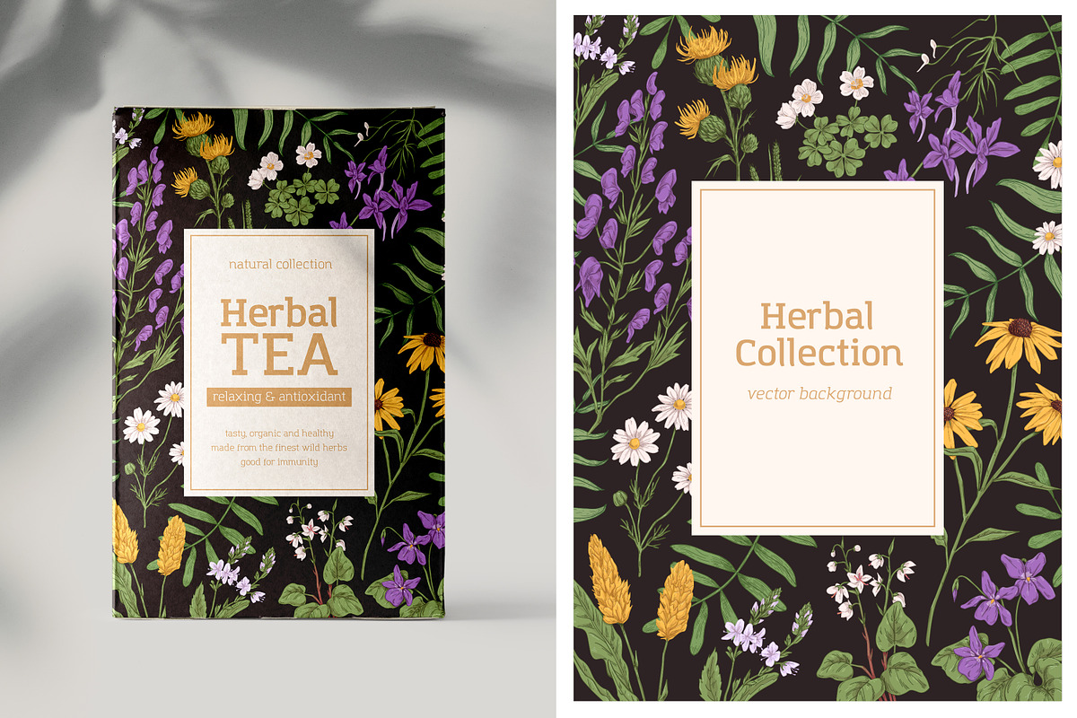 Wild flowers and herbs backgrounds, a Decorative Illustration by Good Studio (Photo 3 of 5)