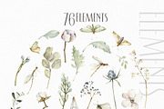 Trendy botany Watercolor collection, an Object Illustration by ArtMaslyana (Thumbnail 3 of 10)