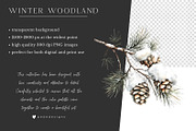 Winter Woodland, an Animal Illustration by PeDe Designs (Thumbnail 8 of 8)