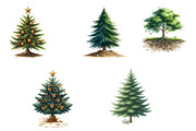 Watercolor Christmas Tree Clipart, an Illustration by CrexoraLab (Thumbnail 3 of 5)
