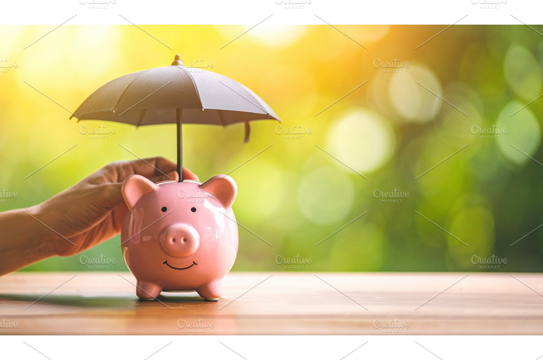 Concept of financial protection, a Business Photo by Igor Tichonow