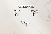 Dustine | Script Font, a Handwritten Font by Scratchones (Thumbnail 8 of 9)