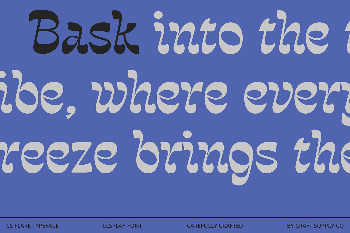 CS Flare – Reverse Contrast Font, a Serif Font by Craft Supply Co. (Photo 2 of 8)