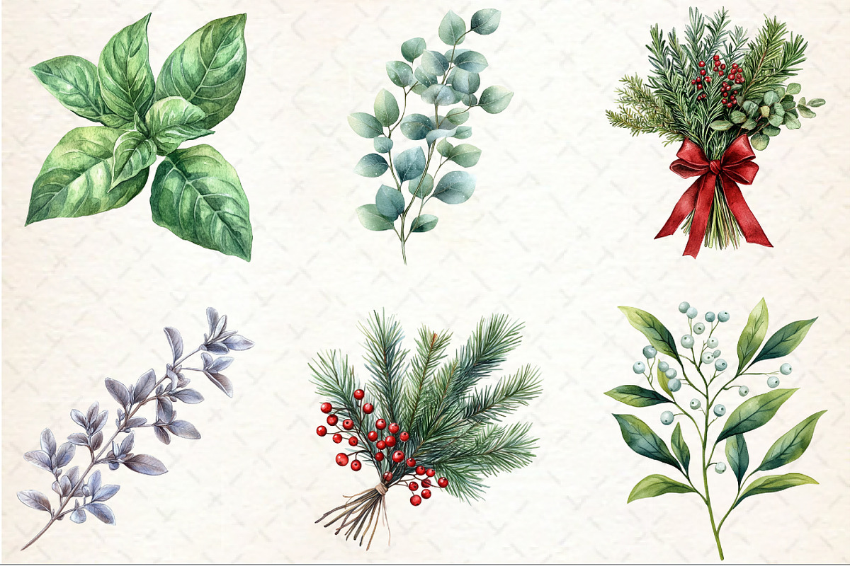 Winter Herbs Sublimation Clipart, an Illustration by Rose Art (Photo 3 of 7)
