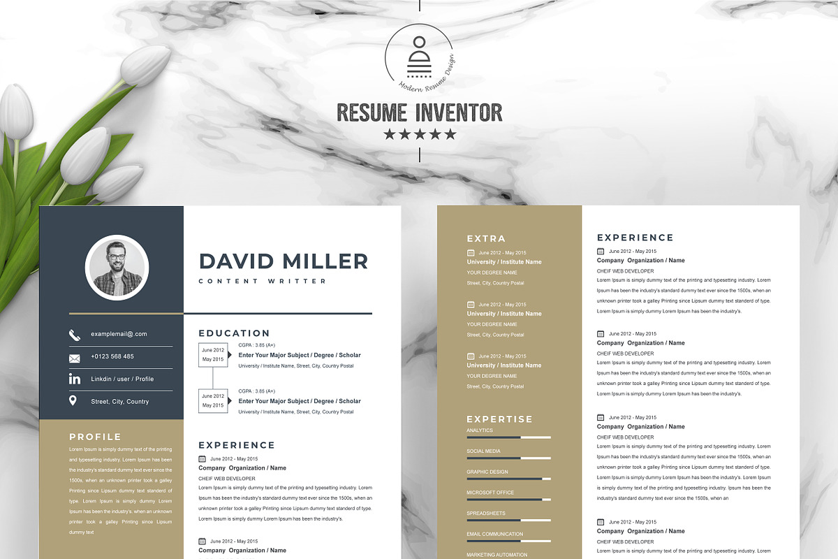 JOB WINNING RESUME - 50 TEMPLATES, a Resume Template by ResumeInventor (Photo 84 of 184)