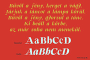 Badacsony, a Font by Fontanatype (Thumbnail 9 of 14)