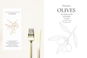 Watercolor Olives Collection