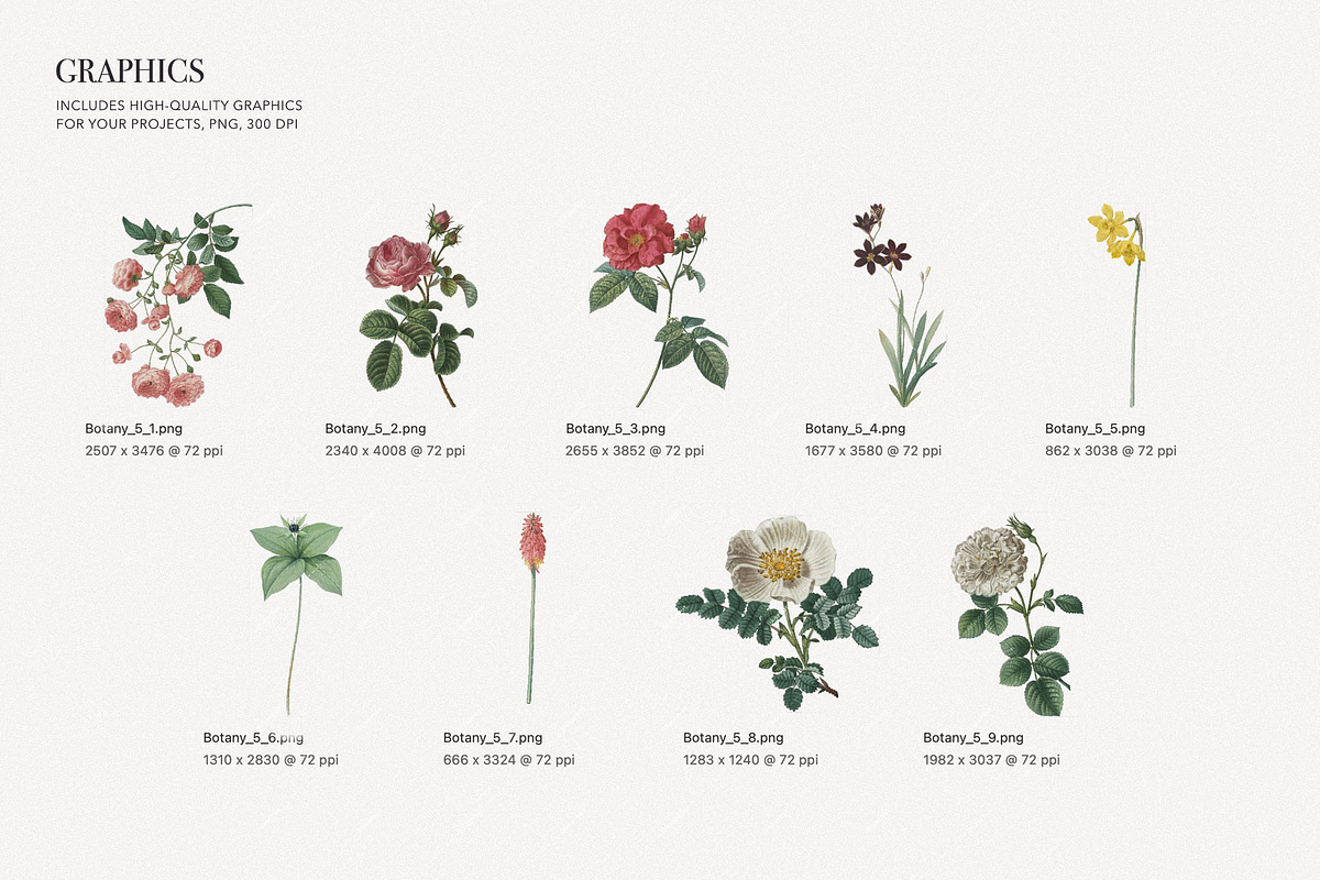 Vintage Roses English Floral Pattern, a Pattern Graphic by likorbut