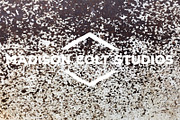 50 Rusty Metal Textures - Vol 2, a Texture Graphic by Madison Colt Studios (Thumbnail 35 of 51)