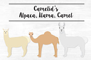 Hand Drawn Fiber Animals, an Animal Illustration by VizualStorm (Thumbnail 2 of 4)