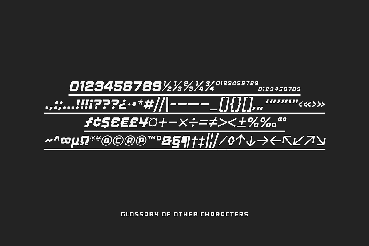 Lokoxi - Standard Family, a Sans Serif Font by Anfound Type (Photo 9 of 14)