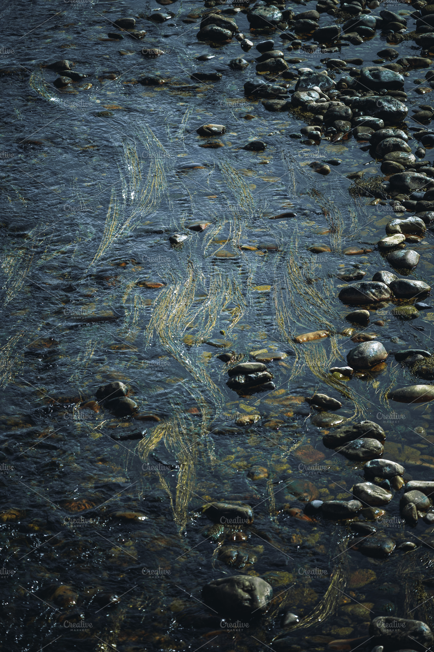 Stream with rocks and golden algae, a Wallpaper Photo by SkyNext