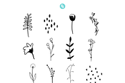 Wildflower Procreate Stamp Brushes, a Brush Add-On by Cate Shaner (Thumbnail 2 of 4)