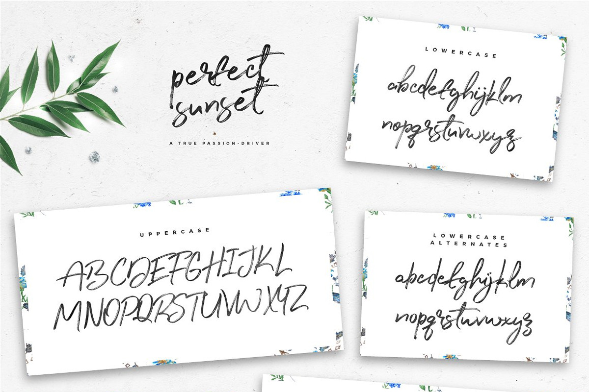 Typographer's Dream Box + 200 Logos, a Script Font by Mats-Peter Forss (Photo 26 of 130)