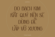 VEN - Display Typeface, a Font by Dat Do (Thumbnail 17 of 25)