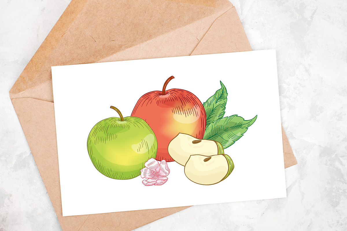 Vintage apples, hand drawn set, a Food Illustration by Good Studio (Photo 5 of 5)
