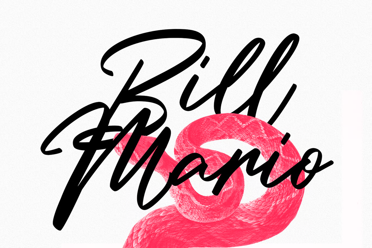 Millie Bobby Signature Script Font, a Script Font by MACK 75 (Photo 3 of 10)