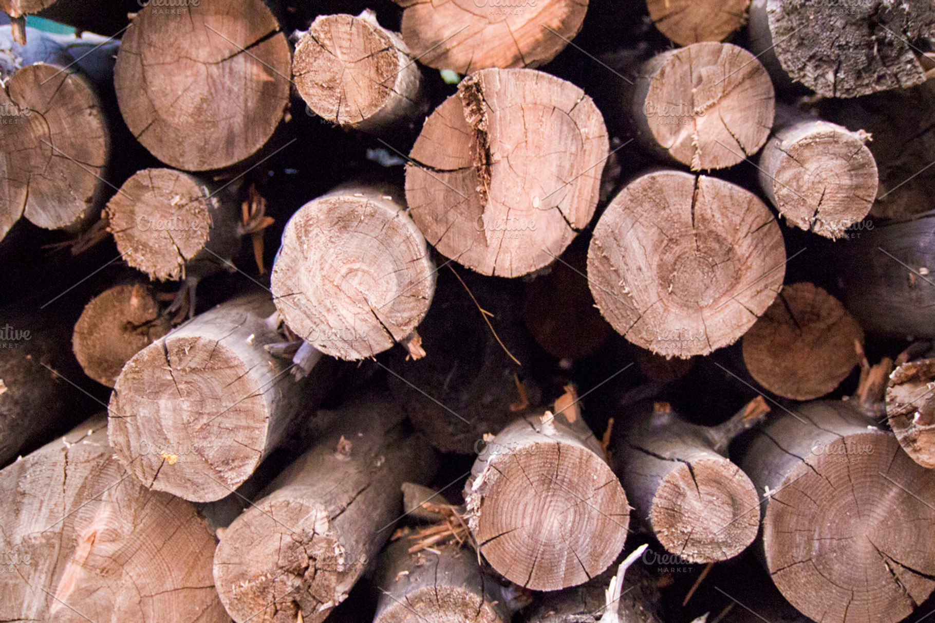 Logs Stock Picture