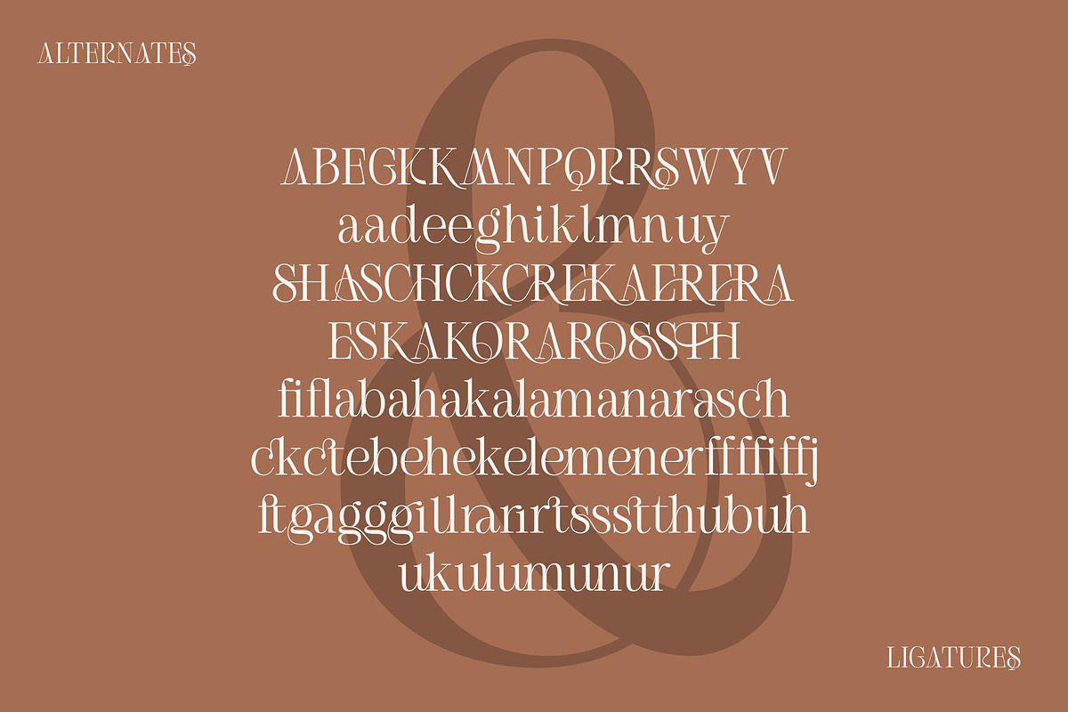 KG Sheran | Beauty Ligature Serif, a Serif Font by Krismagraph (Photo 6 of 13)
