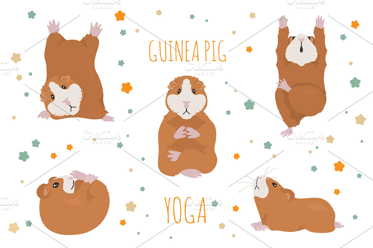 Rodents yoga, an Animal Illustration by pet design shop (Photo 3 of 7)