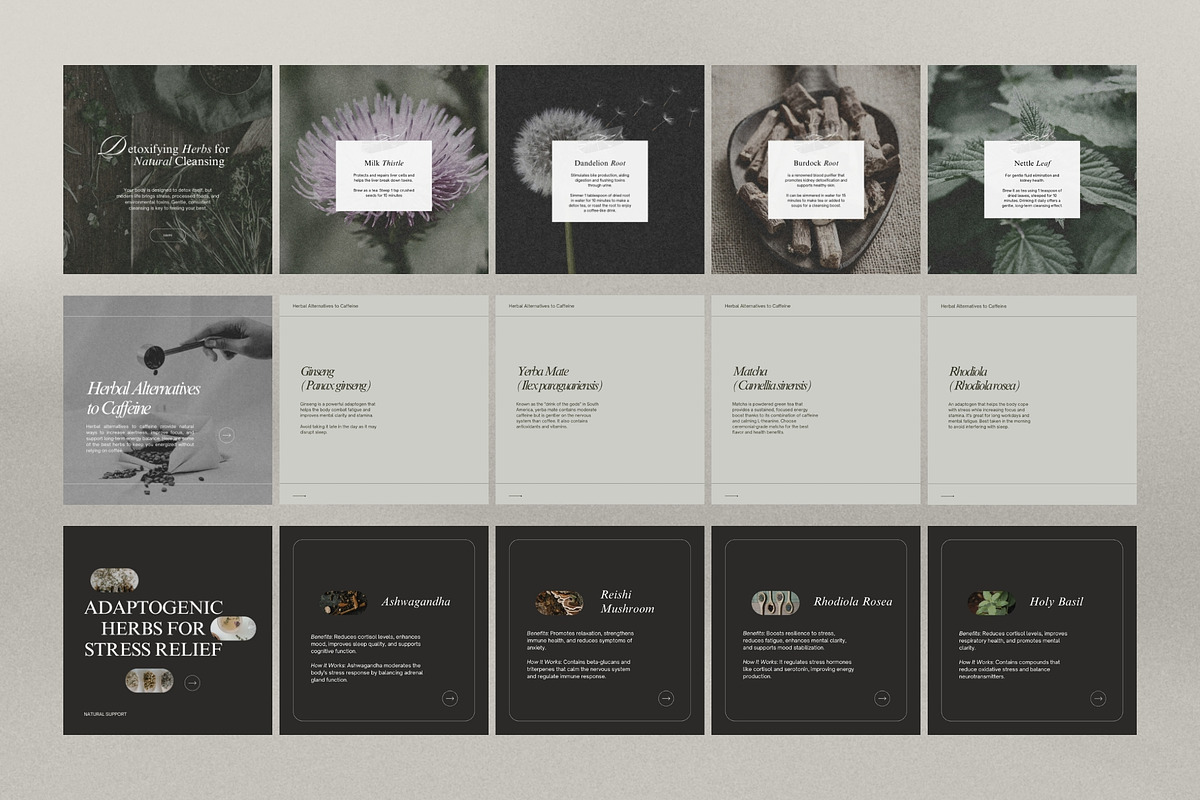 Herbalist Carousel Post Templates, a Social Media Template by Terraa Studio Design (Photo 6 of 9)
