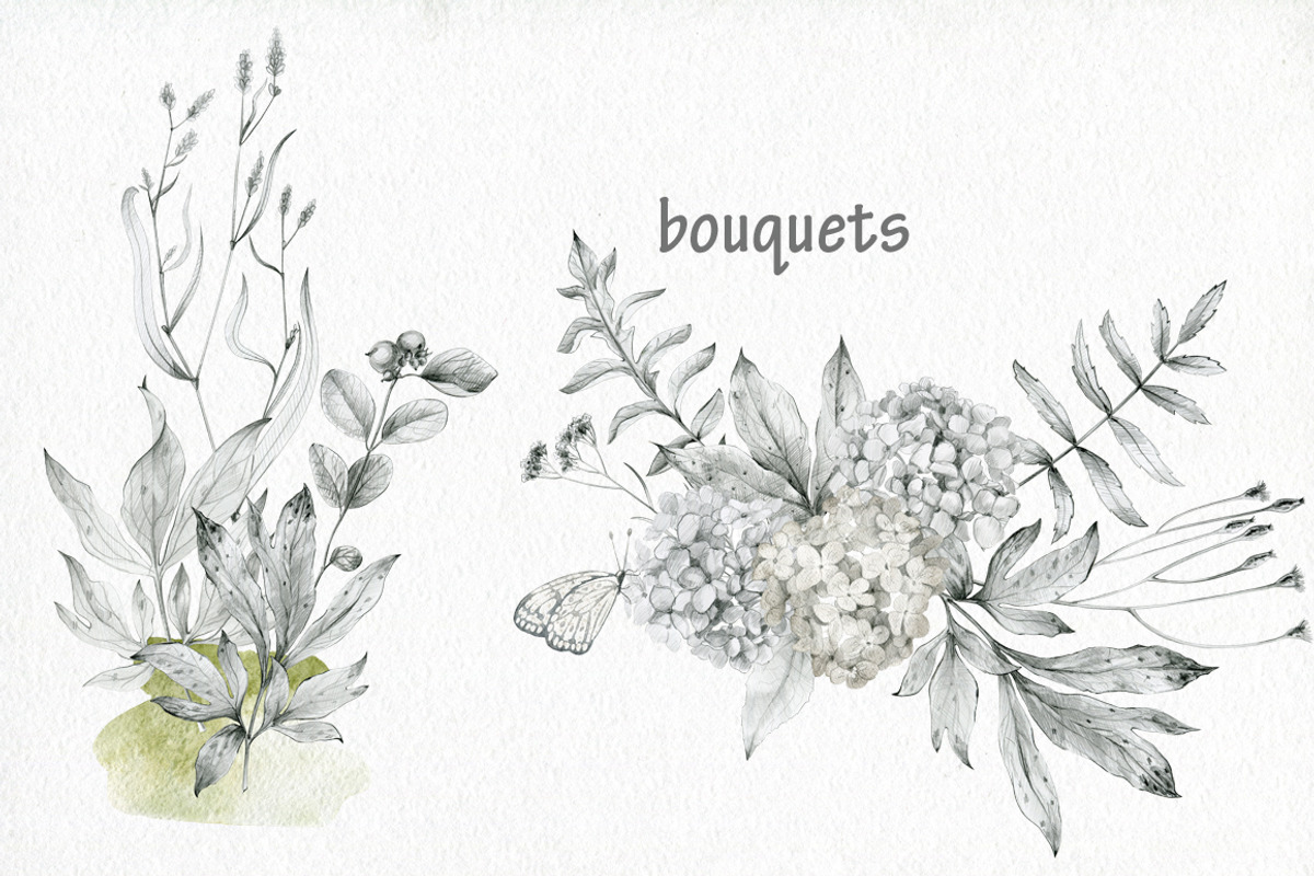 Butterflies and floral collection., an Illustration by TaPilipa (Photo 6 of 13)