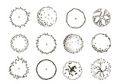 Set of graphic trees, top view, an Illustration by Lina_Lisichka (Thumbnail 4 of 5)