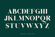 Tashik Modern Serif, a Serif Font by Maryamtype Studio (Thumbnail 6 of 7)