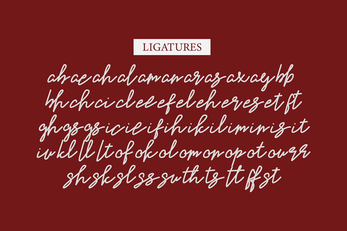Belliso - Monoline Script Font, a Handwritten Font by Hasbi Creative (Photo 4 of 14)