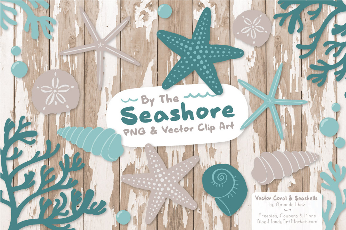 Seashells Clipart in Vintage Blue, an Illustration by Amanda Ilkov (Photo 2 of 5)