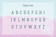 Arktica Font, a Serif Font by Alex Blogoodf (Thumbnail 2 of 8)