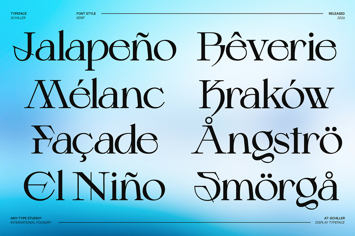 Schiller - Contemporary Serif, a Serif Font by Any-Type® Foundry (Photo 5 of 13)