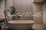 De Lionist - Handwritten Script Font, a Handwritten Font by Myn Type (Thumbnail 3 of 15)