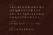 Mattgin Elegant Serif Font, a Serif Font by Perfectype (Thumbnail 7 of 8)