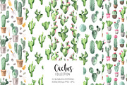 Watercolor Exotic Cactus Collection, a Texture Illustration by LarysaZabrotskaya (Thumbnail 6 of 11)
