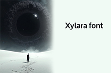 Xylara font-Regular-0106-25