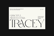 Ragier Elegant Serif Font, a Serif Font by Perfectype (Thumbnail 3 of 8)