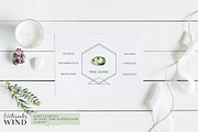 Watercolor gemstone clipart, an Illustration by Ksenia Shmakova (Thumbnail 9 of 13)