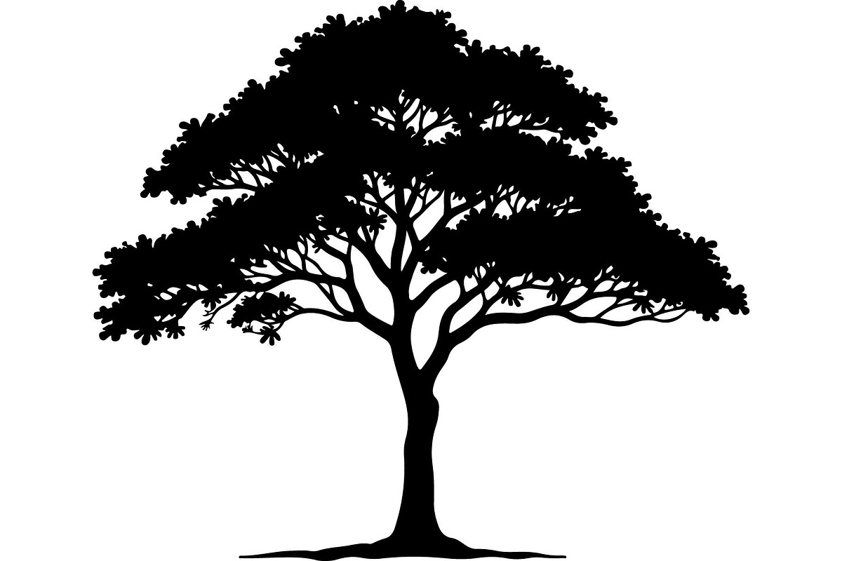 Black Tree Vector Clipart Pack, an Object Graphic by Designer_Momina (Photo 8 of 10)