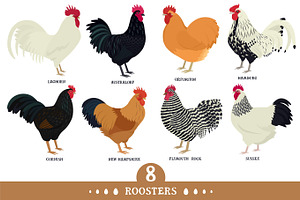 Roosters