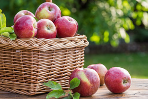 Ripe apples in the wicker basket, a Food & Drink Photo by Volff
