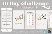 Wellness Challenge Instagram Kit, a Social Media Template by Ashley Alexandra Design (Thumbnail 8 of 8)