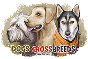 Dogs Cross Breeds 56 Animals Bundle, an Animal Illustration by Dneprstock (Thumbnail 1 of 55)